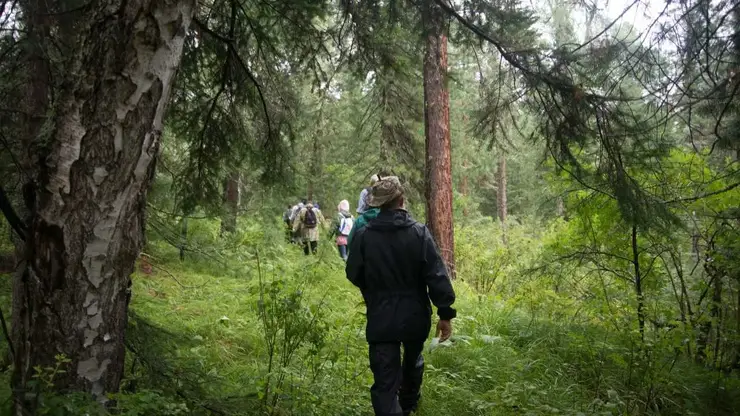 Открыт набор участников в экспедицию в Алтайский заповедник