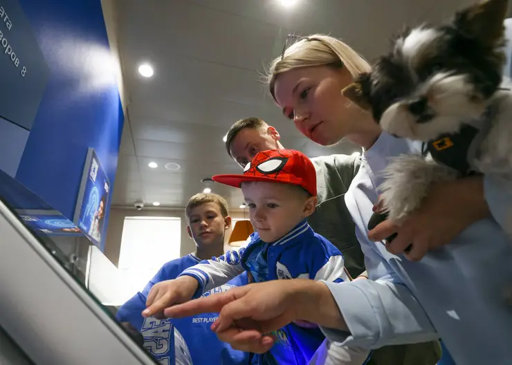 79% сибиряков поддержали идею сделать «тревожную кнопку» в банковском приложении