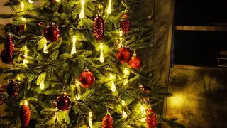 Школам Забайкалья рекомендуют отмечать Новый год в кабинетах Школам Забайкалья рекомендуют отмечать Новый год в кабинетах