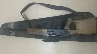 Красноярские браконьеры устроили незаконную охоту на косулю в лесу Красноярского края Красноярские браконьеры устроили незаконную охоту на косулю в лесу Красноярского края