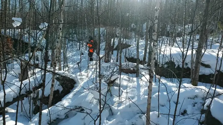 Красноярские спасатели за день обследовали пять квадратных километров тайги в поисках пропавшей семьи Усольцевых