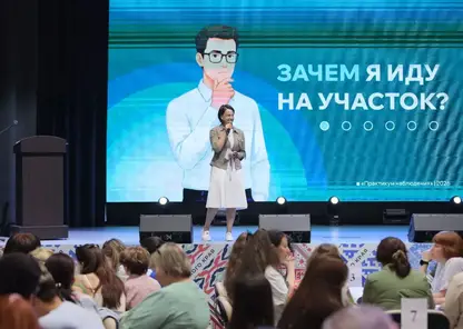 Под прицелом общества: как устроена система общественного наблюдения за выборами в Красноярском крае