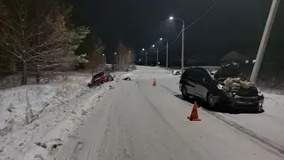 В Иркутской области водитель сбил троих пешеходов и скрылся с места В Иркутской области водитель сбил троих пешеходов и скрылся с места