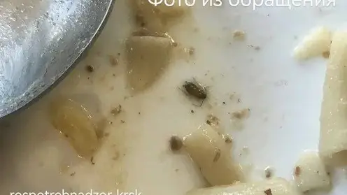 В Красноярске ученики школы №91 нашли тараканов в тарелке готового блюда