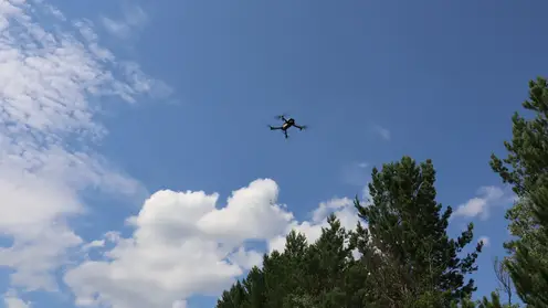 В Красноярском крае начнут ловить поджигателей лесов с помощью дронов и камер