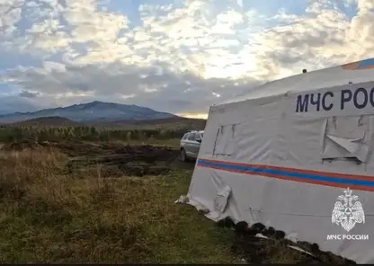 Дрон обнаружил двух медведей на месте поиска пропавшей семьи в Красноярском крае