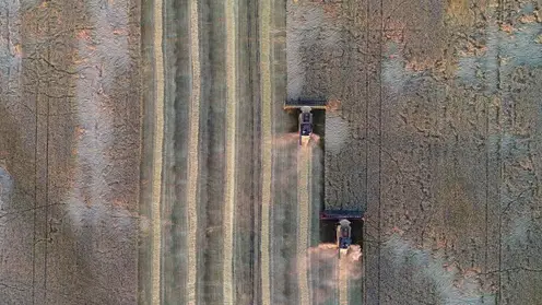 Восемь районов Новосибирской области вводят режим ЧС