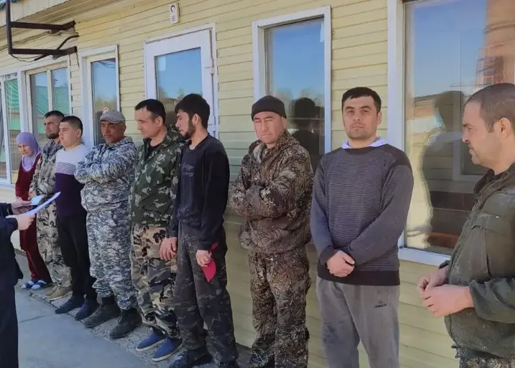 В Красноярске за год выдворили больше 800 нелегальных мигрантов