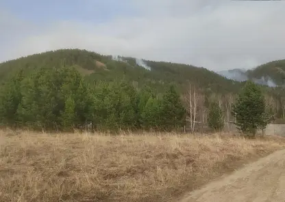 Лесной пожар в поселке Манский сбавил обороты