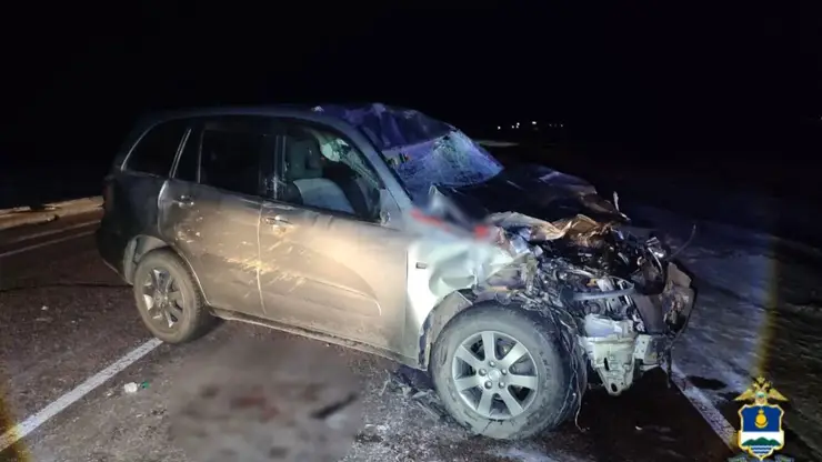 В Бурятии автомобиль сбил лошадь: пострадали водитель и пассажир
