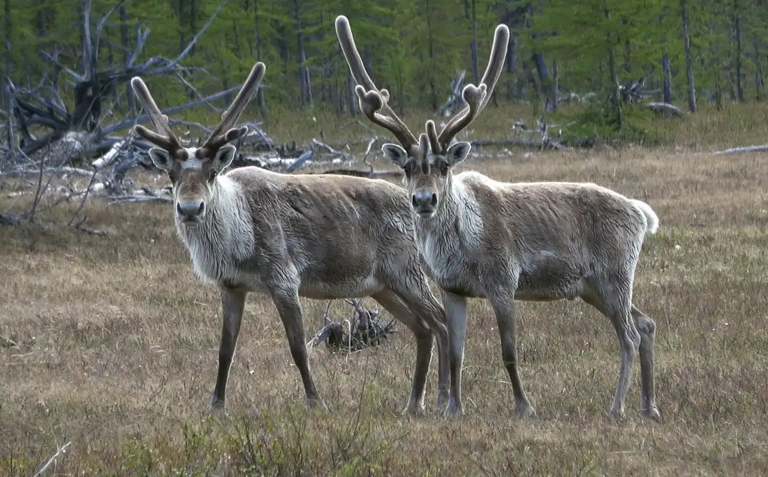 Фото: АО «Востсибнефтегаз"