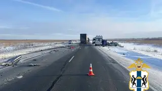 Выезд на встречную полосу привел к гибели двух человек в Новосибирской области
