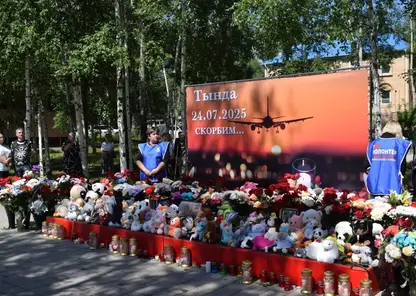 В Тынде появился стихийный мемориал в память о жертвах крушения самолета Ан-24