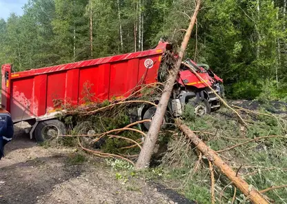 Смертельное ДТП под Дивногорском: водитель грузовика съехал в кювет и погиб