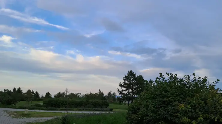 Жаркую погоду прогнозируют в Красноярске 19 августа