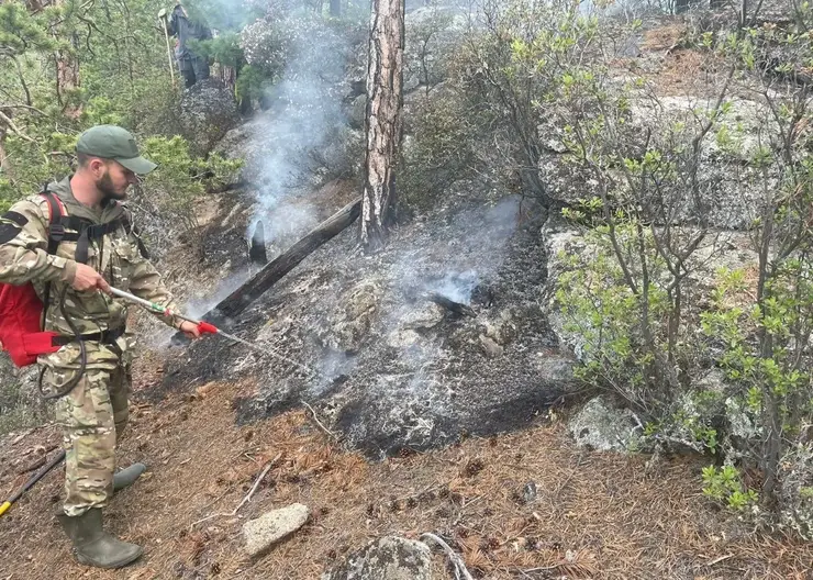 В Саяно-Шушенском заповеднике из-за грозы случился пожар