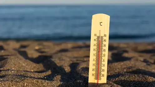 Синоптики предсказали 30-градусную жару в Красноярске на этой неделе: публикуем подробный прогноз