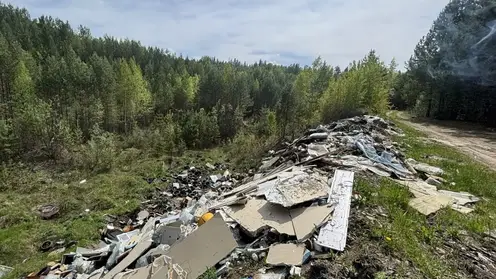 18 свалок уберут в семи территориях Красноярского края до конца года