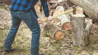 Суд взыскал более 34 млн рублей с контрабандиста леса в Иркутской области Суд взыскал более 34 млн рублей с контрабандиста леса в Иркутской области