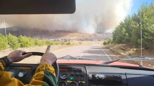 За выходные в Красноярском крае потушили 58 лесных пожаров