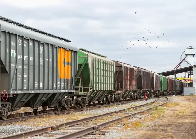 Первые 100 тысяч тонн продукции отправили сельхозпредприятия Красноярского края и Хакасии в рамках сервиса КрасЖД «Зерновой экспресс»