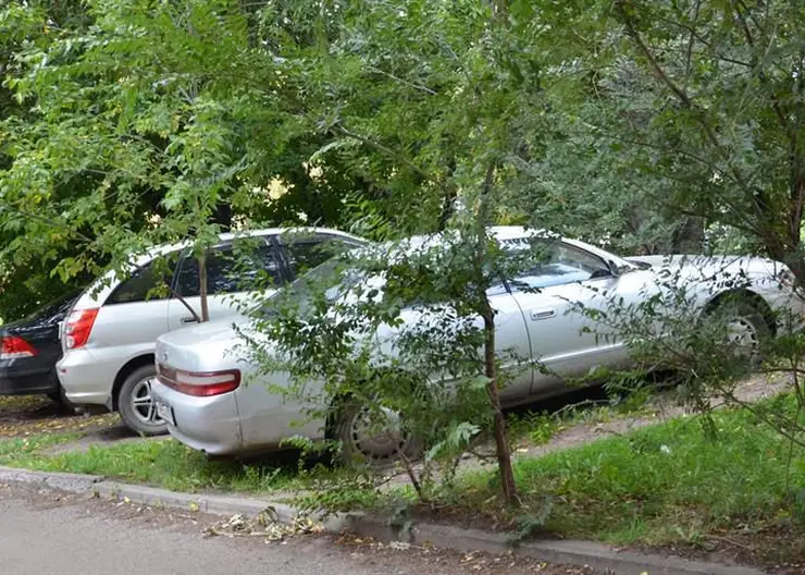 В Ленинском районе Красноярска автомобилистов за парковку на газонах оштрафовали на 2 млн рублей
