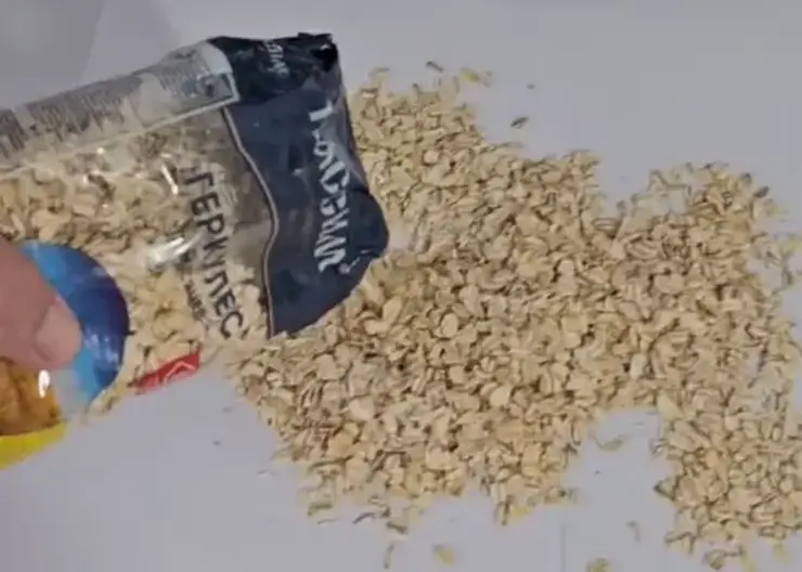 Красноярский эколог нашёл жуков в пачке геркулеса