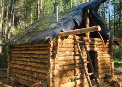 Стационар для наблюдения за ирбисами появился на юге Красноярского края