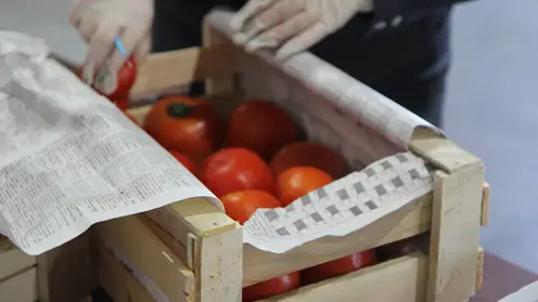 В Красноярске в томатах из Китая найден опасный южноамериканский вредитель