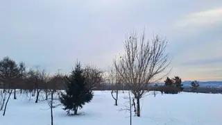 Теплую погоду до -1 прогнозируют синоптики в Красноярске 26 декабря