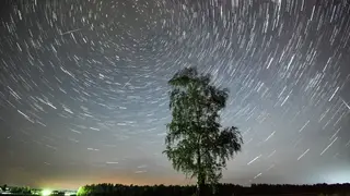 Гороскоп на понедельник, 27 апреля для всех знаков зодиака