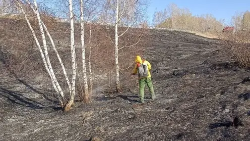Выброшенная из окна автомобиля сигарета могла спровоцировать пожар под Минусинском