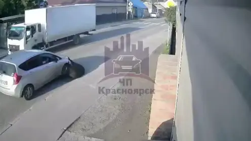 В Красноярске грузовик на полном ходу сбил быка