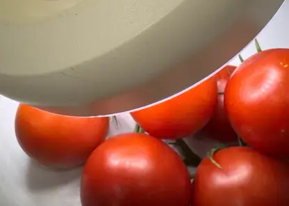 18 тонн зараженных томатов из Казахстана остановили на границе в Алтайском крае