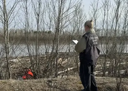В Красноярском крае возбуждено уголовное дело по факту гибели 7-летнего мальчика, утонувшего в реке