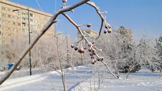 Мороз не отступает: до -38 ожидается в Красноярске 20 января