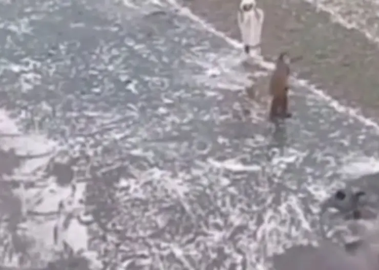 В Красноярске школьник провалился под лёд