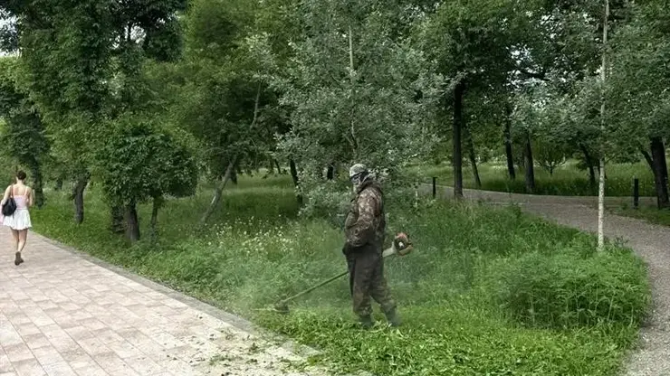 Наркосодержащие растения уничтожают в Красноярске