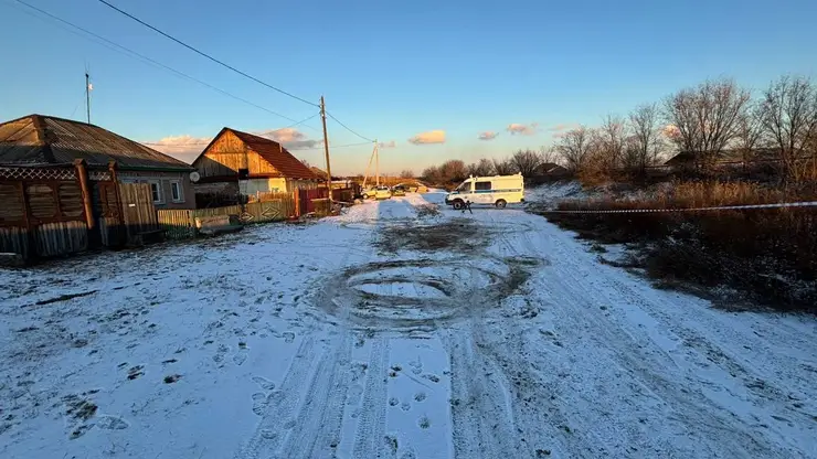 В Хакасии домашняя собака напала на 7-летнюю девочку