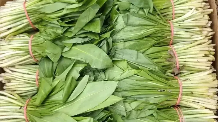 В Красноярске начали продавать первую в этом году черемшу