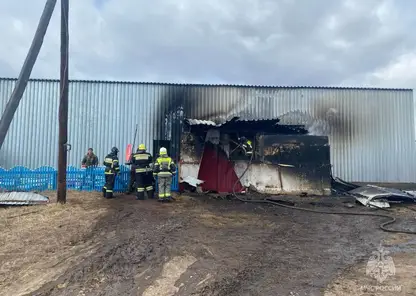 27 пожаров потушили в крае за сутки