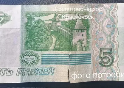 Надорванная 5-рублевая купюра стала причиной предостережения для ИП в Минусинске