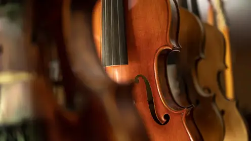 «Любой конкурс подразумевает давление»: альтист Павел Романенко о конкурсе им. Шпета и психологической подготовке участников