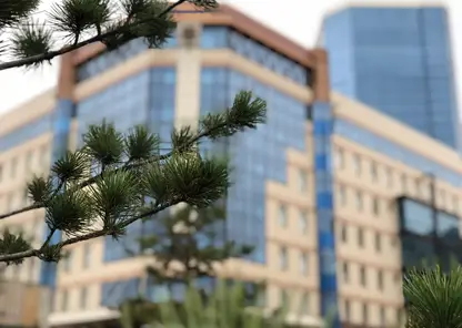 Министерство экологии Красноярского края требует взыскать 15,5 млн рублей за загрязнение почвы в Канске