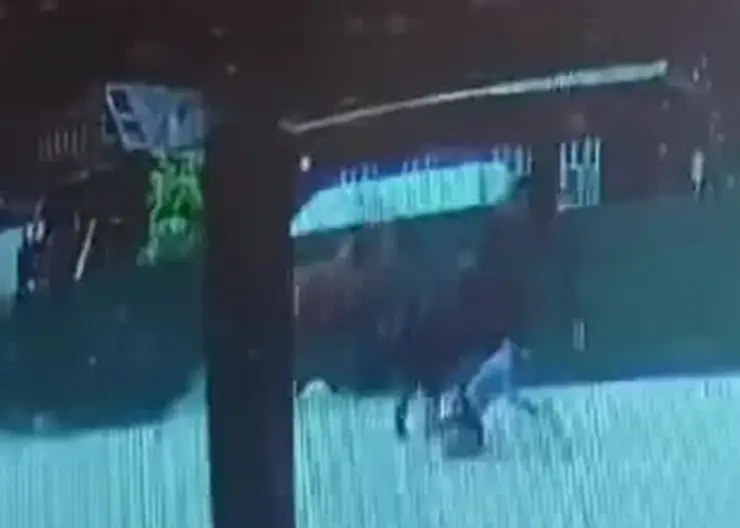 На Алтае лошадь затоптала человека