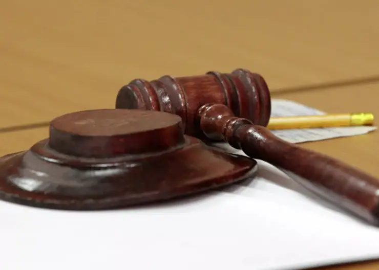 В Красноярске 29-летнюю иностранку приговорили к трем годам колонии за продажу новорожденного