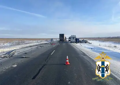 Выезд на встречную полосу привел к гибели двух человек в Новосибирской области