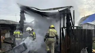 Пожарные за сутки потушили 11 возгораний в Красноярском крае