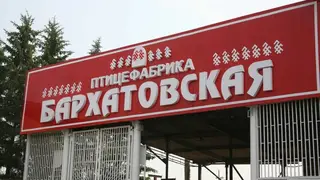 На птицефабрике Красноярского края выявлен очаг ньюкаслской болезни — введены ограничения