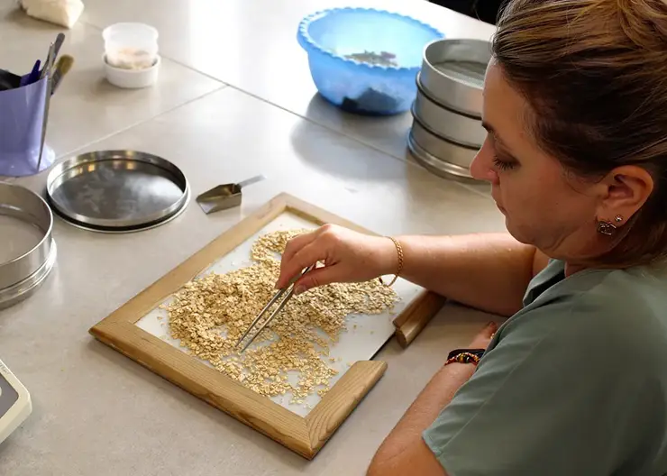 Специалисты рассказали, как выбрать полезные мюсли и хлопья